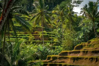 Sudamala Resort Ubud Buka Oktober 2026 dengan 46 Unit Akomodasi