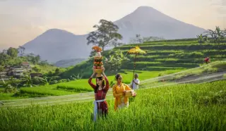 Ilustrasi: Wanita berpakaian adat Bali membawa sesajen di hamparan sawah bertingkat dengan latar belakang gunung.