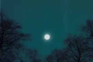 Ilustrasi: Bulan purnama bersinar terang di langit malam di antara siluet ranting-ranting pohon.