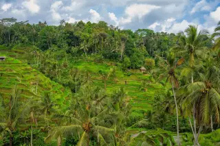 Seruan Moratorium Pariwisata Bali Dijawab Penguatan PWA dan Sistem BaliGuard
