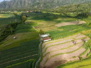 Tingkat Kemiskinan Bali: Angka Terbaru dan Dampaknya bagi Kebijakan Daerah