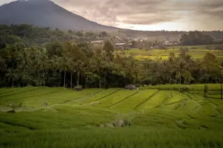 Ekonomi Bali Tumbuh 5,78 Persen, Apa Artinya bagi Daerah?