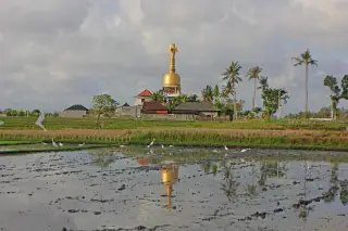 Foto arsip: Bayangan Genta dipersawahan.