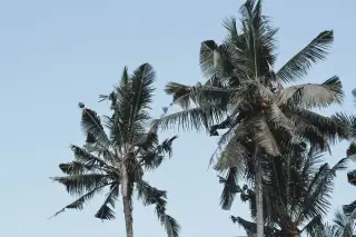 Cuaca Bali Jumat Ini, Badung dan Bangli Waspada Angin Kencang