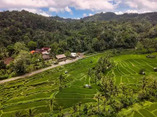 Koster Minta Pariwisata Bali Jaga Ruang dan Lingkungan