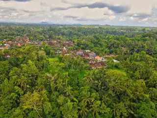 Ilustrasi: Pemandangan udara kawasan pedesaan di Bali yang dikelilingi pepohonan rimbun dan persawahan.