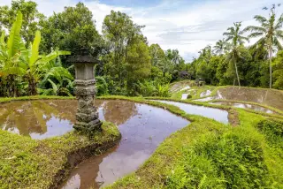 Berapa Jumlah Wisatawan ke Bali pada 2025? Ini Data Resminya
