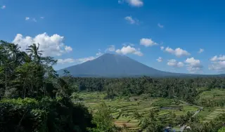 Ilustrasi: Pemandangan sawah terasering berlatar belakang gunung berapi di bawah langit cerah.