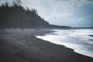 Ilustrasi: Pemandangan pantai berpasir hitam dengan ombak laut dan barisan pohon cemara di tepinya.