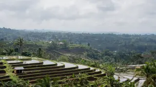 Ilustrasi: Pemandangan terasering sawah bertingkat yang dialiri air di perbukitan hijau.