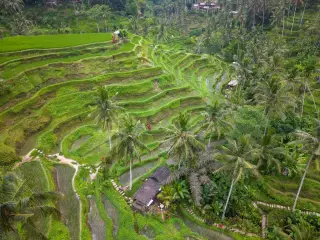 Outlook Pariwisata Indonesia 2026/2027 Catat Pertumbuhan Wisman