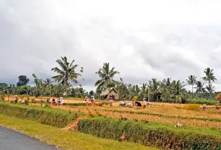 Foto arsip: 081 Nr Klungkung, Bali 1971.