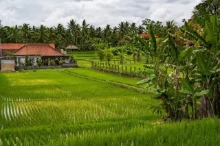 Polres Gianyar Ungkap 30 Perkara, Dua Warga Rusia Diproses