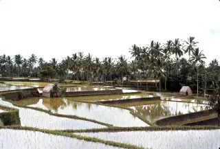 Foto arsip: 079 Nr Klungkung, Bali 1971.