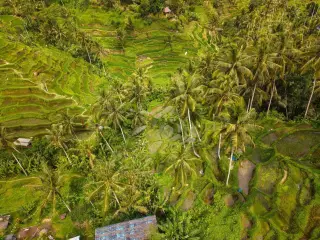 Pertumbuhan Ekonomi Bali 2025: Apa Dampaknya bagi Masyarakat?