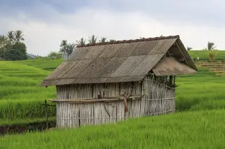 Foto arsip: Tabanan Regency, Bali, Indonesia: A skewed rice farmer's hut inmiddle of his paddy.