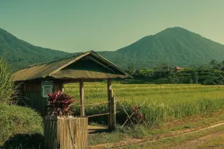 Ilustrasi: Sebuah gubuk kayu di tepi hamparan sawah hijau dengan latar belakang perbukitan tropis.