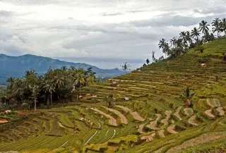 Foto arsip: 083b Nr Klungkung, Bali 1971.