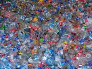 Ilustrasi: Tumpukan botol plastik bekas pakai yang beragam warna dan ukuran.