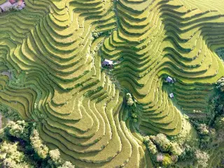 Wisman Badung September Capai 671.014, India Naik 19,44 Persen