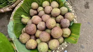 Ilustrasi: Tumpukan buah srikaya beralas daun pisang di dalam keranjang bambu anyaman.