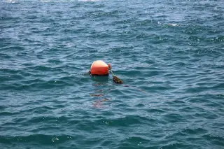 Pria Jember Diselamatkan Setelah Lompat ke Selat Bali
