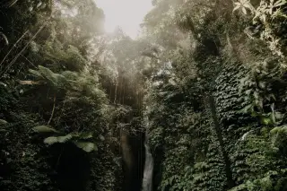 Air Terjun Buleleng: Daftar Lokasi, Akses, Trekking, dan Tarif