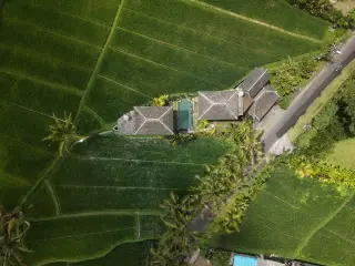 Ilustrasi: Pemandangan udara kompleks vila berkolam renang di tengah area persawahan hijau.
