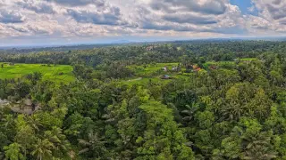 Berapa Jumlah Kabupaten dan Kota di Bali? Ini Struktur Wilayah 2025