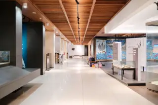Ilustrasi: Lorong ruang pameran museum modern dengan etalase kaca dan panel informasi.