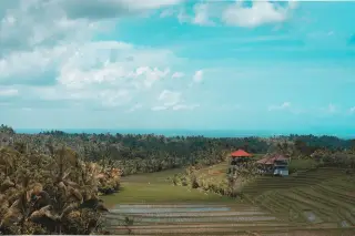 Ilustrasi: Pemandangan sawah berundak dan pepohonan dengan bangunan beratap merah di bawah langit berawan.