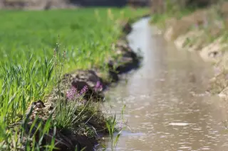 Ilustrasi: Saluran air irigasi tanah di samping lahan pertanian hijau.