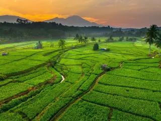 Peta Bali: Batas Wilayah, Kabupaten, Kota, dan Pulau di Sekitarnya