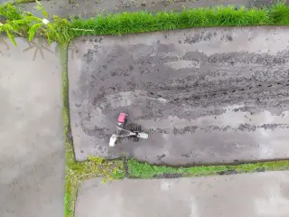 Ilustrasi: Pemandangan udara seorang petani membajak sawah berlumpur menggunakan mesin traktor tangan.
