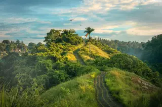 Ilustrasi: Jalan setapak beraspal melintasi bukit hijau dengan pepohonan rimbun di bawah langit cerah.