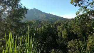 Ilustrasi: Pemandangan Karangasem, Bali.