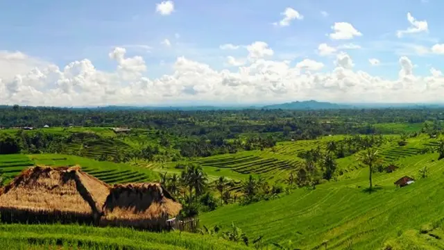 DPRD Tabanan Tekankan Insentif dalam Ranperda Perlindungan LP2B