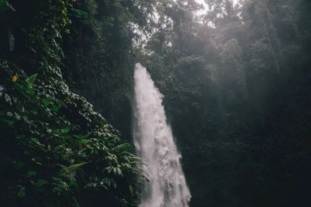 Kolam di Air Terjun Toya Bulan, Banyu Wana Amertha, dan Taman Sari