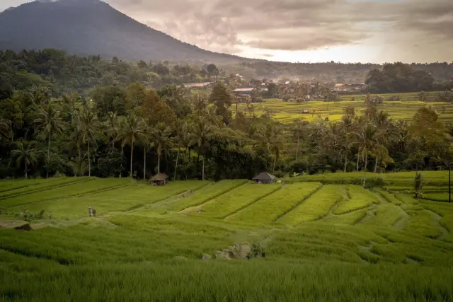 Ekonomi Bali Tumbuh 5,78 Persen, Apa Artinya bagi Daerah?