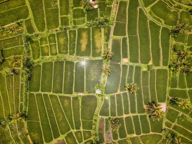 Bali Catat 16,3 Juta Kunjungan Wisatawan pada 2025