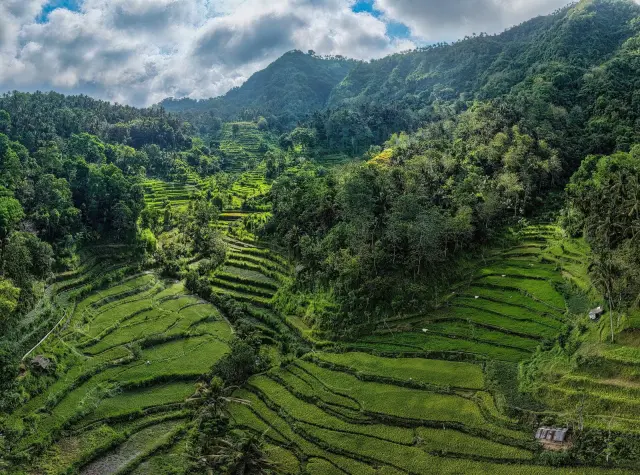 Pemprov Bali Catat 4,6 Juta Kunjungan hingga Agustus 2026