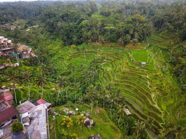 Tempat wisata Gianyar: daftar kawasan utama dan destinasi paling ramai dikunjungi