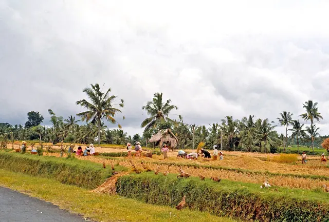 Klungkung Uji Coba Lima Kendaraan Listrik Roda Tiga di Nusa Penida