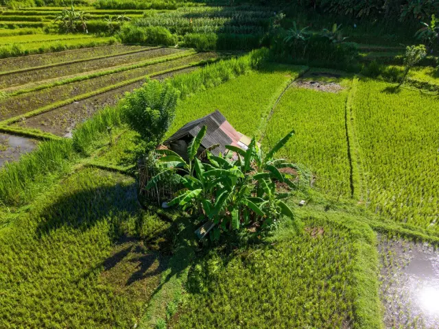 SIM Keliling Layani Badung, Klungkung, dan Tabanan Hari Ini