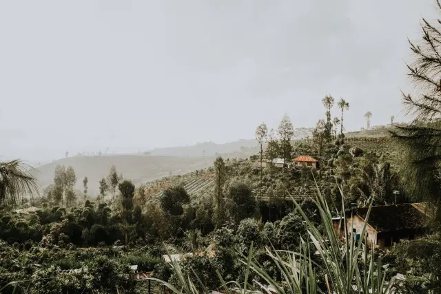 Bangli Catat Retribusi Pariwisata 45,41 Persen