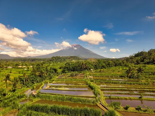 Apa Itu Warisan Budaya Takbenda Bali dan Bagaimana Cara Mencatatnya?