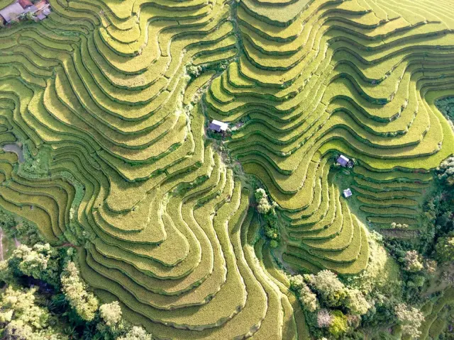Wisman Badung September Capai 671.014, India Naik 19,44 Persen