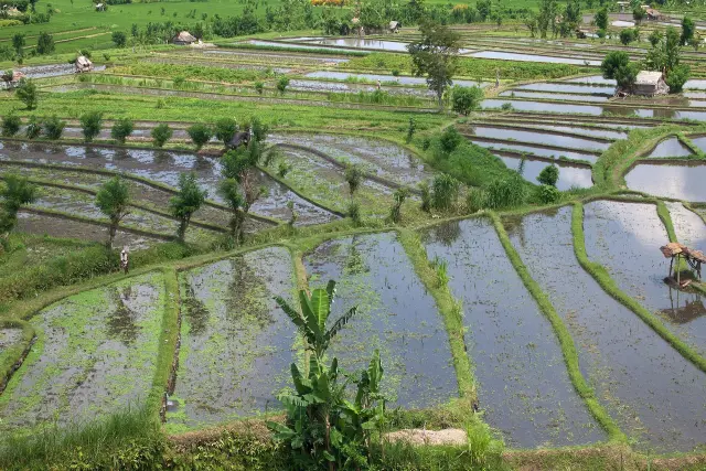 New Asia Forum Bidik Investasi US$30 Miliar di Bali