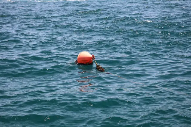 Pria Jember Diselamatkan Setelah Lompat ke Selat Bali