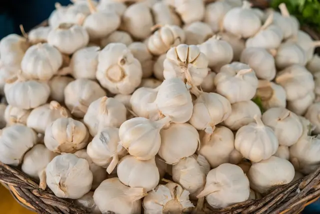 Disperindag Bali Catat Bawang Putih Naik 1,41 Persen